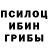 Псилоцибиновые грибы Magic Shrooms Nina Megre