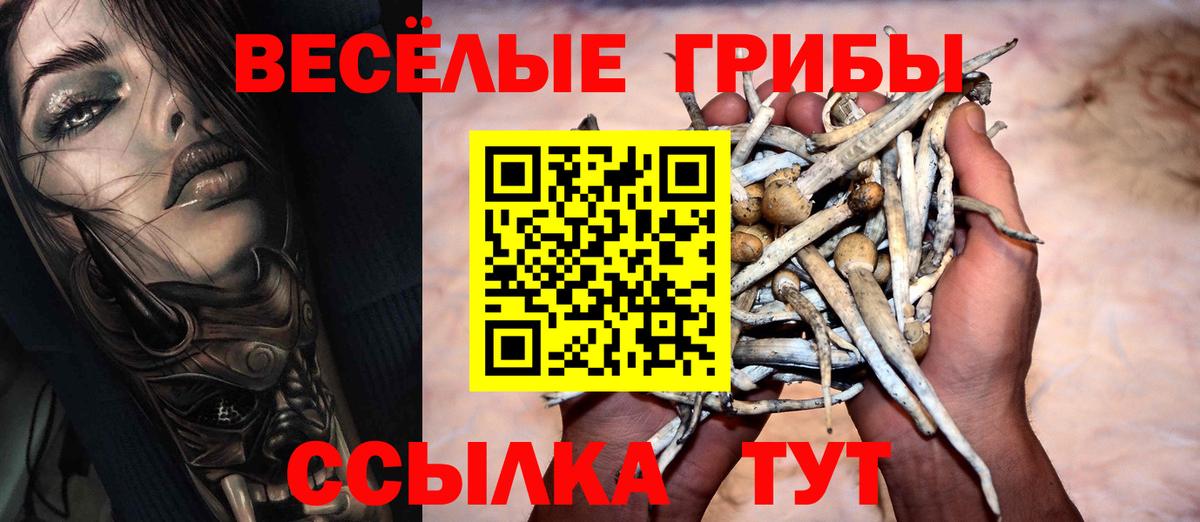 Псилоцибиновые грибы мухоморы Ялуторовск