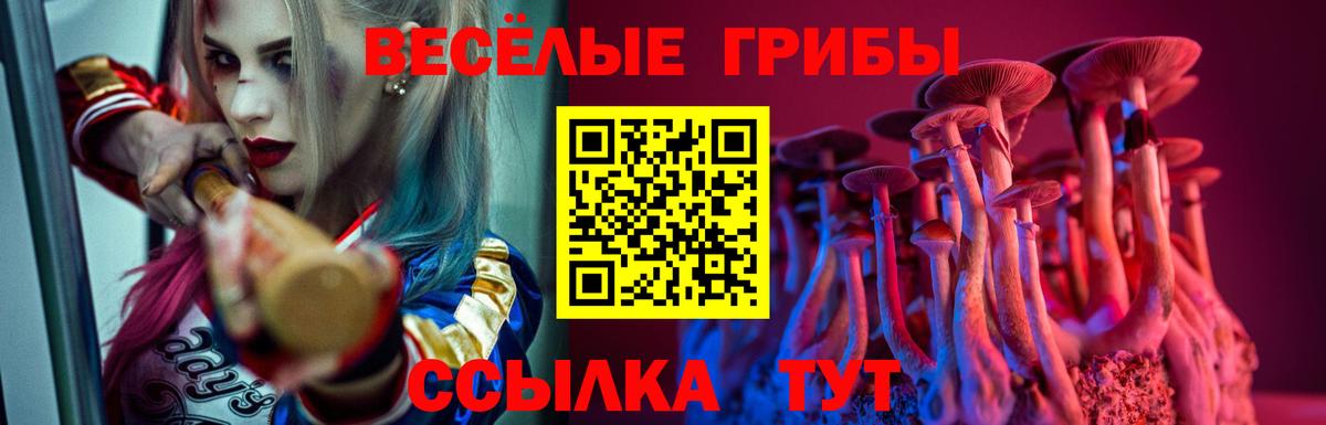Ялуторовск  купить закладку  Вход с VPN  Псилоцибиновые грибы мухоморы 